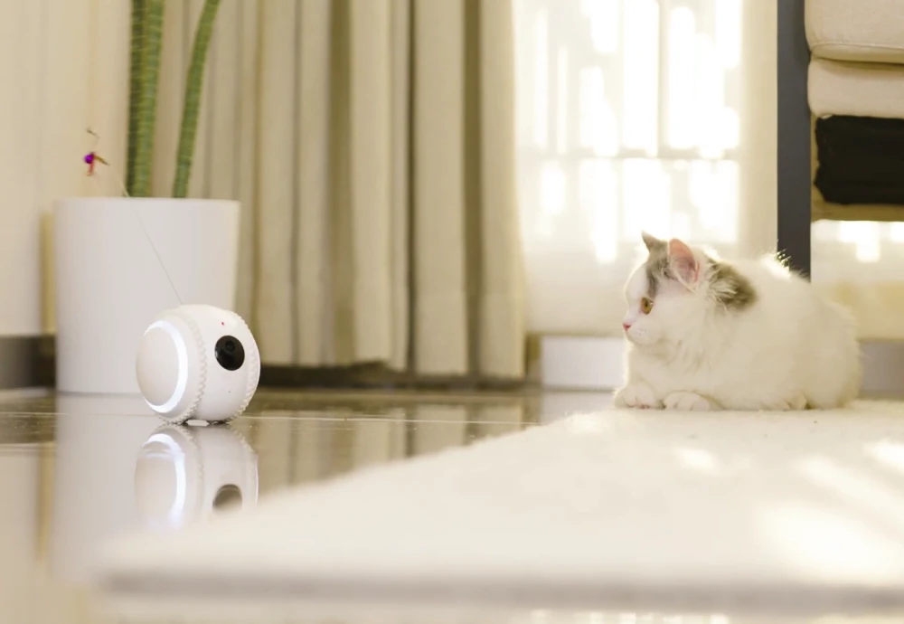 best indoor pet camera