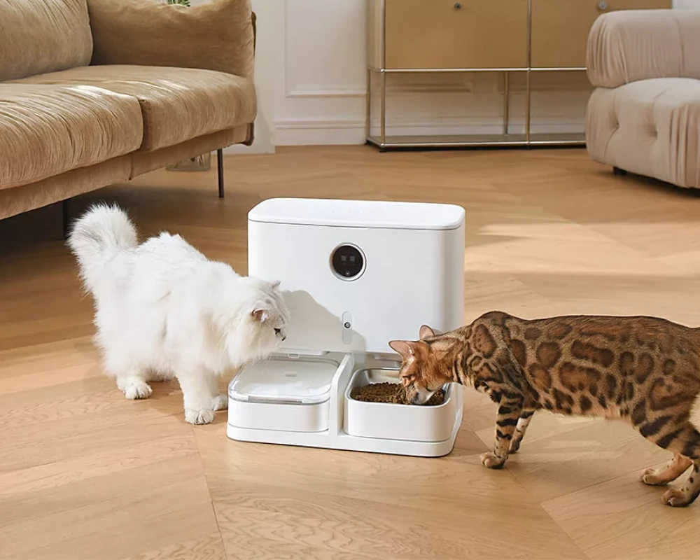 food dispenser for pets