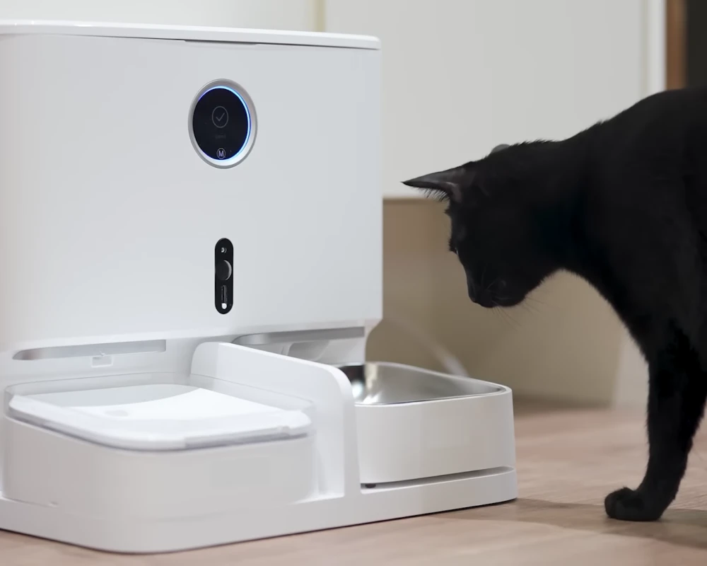 automatic water feeder dogs